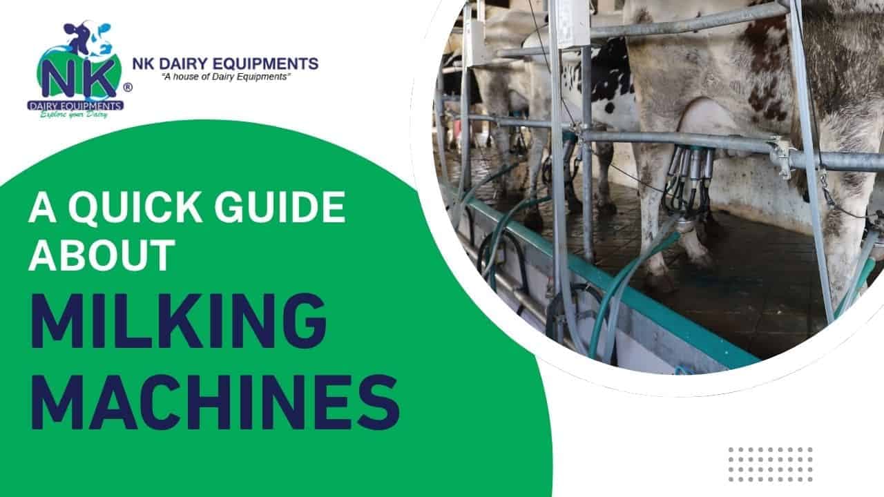 A quick guide about milking machines 