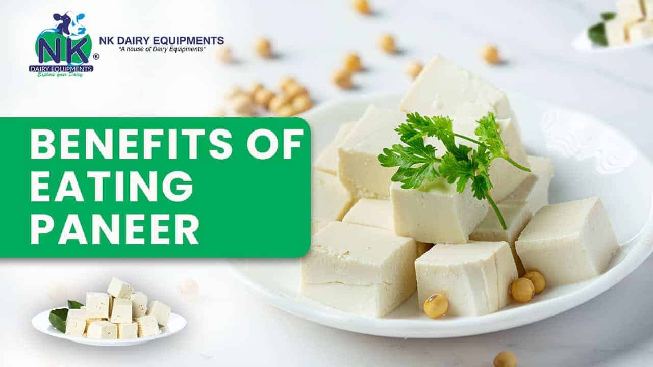 How Does Pasteurization Influence Paneer Quality? Read Along To Know