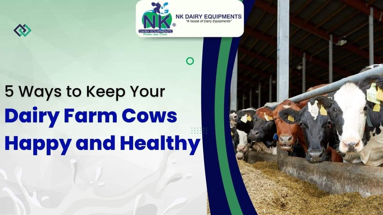 5 Ways to Keep Your Dairy Farm Cows Happy and Healthy