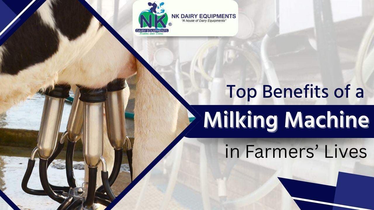 Why Are Milking Equipment Essential for the Dairy Industry?
