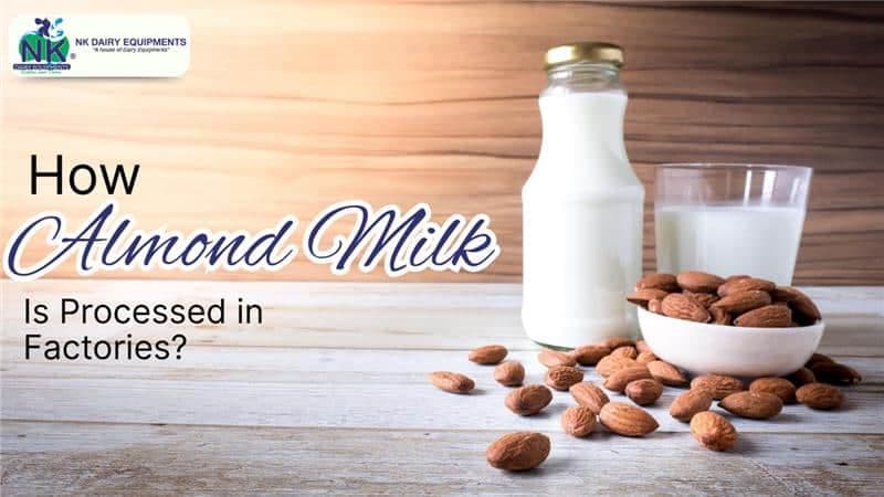 How Almond Milk Is Processed in Factories?