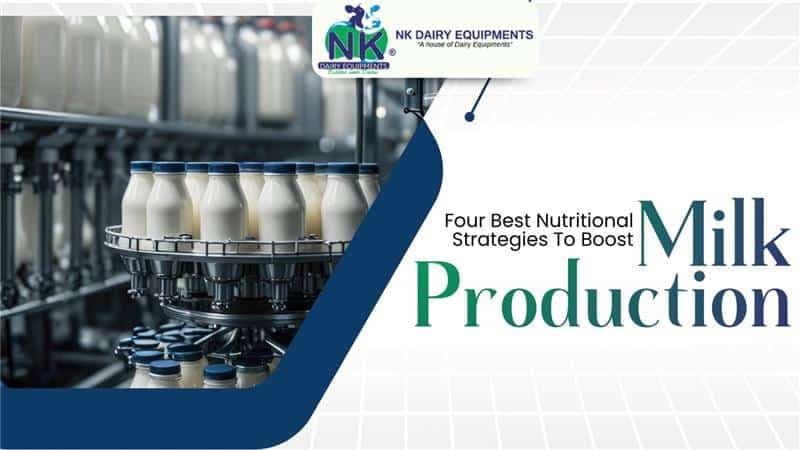 Four Best Nutritional Strategies To Boost Milk Production